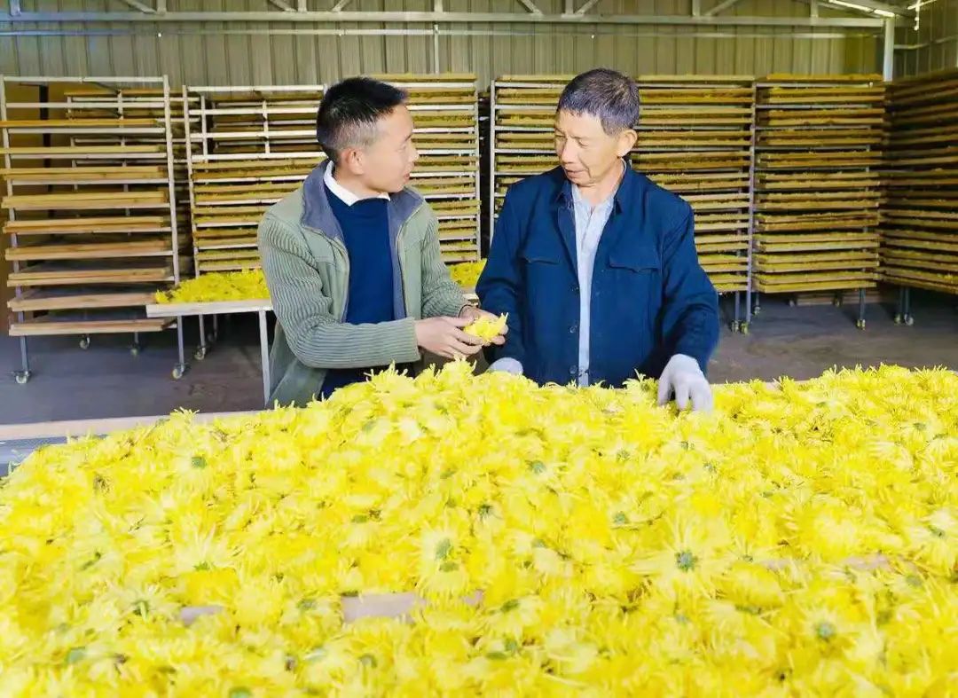 代力吉镇交通新动态，发展引领地方繁荣之路